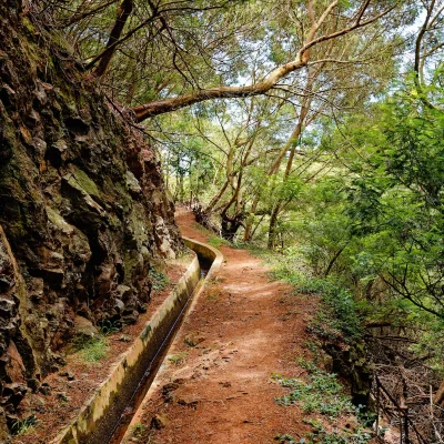 madeira-hiking