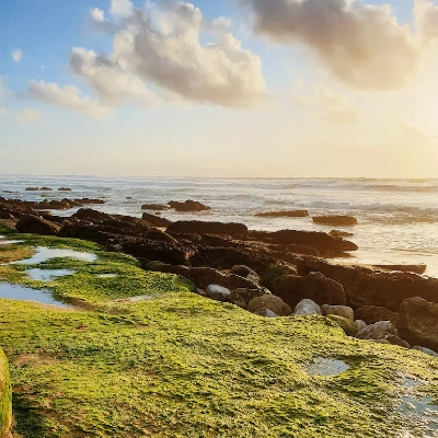 mindfulness-and-rebalance-retreat-in-ericeira-portugal