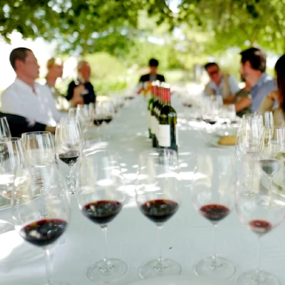 wine-tasting-yoga-for-couples-retreat-france